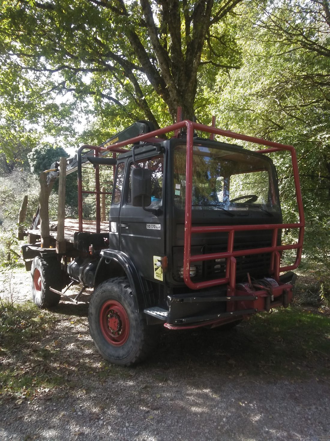Camion forestier 4x4 à plateau et ranchers, sous les arbres