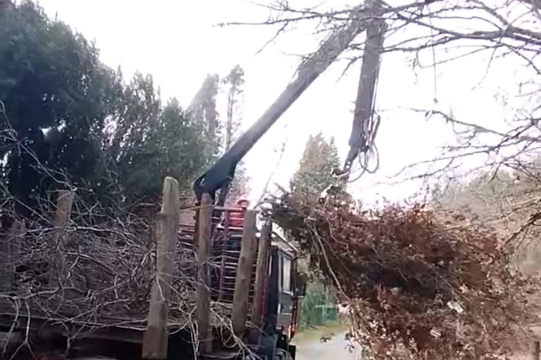 Évacuation de branches à la grue forestière