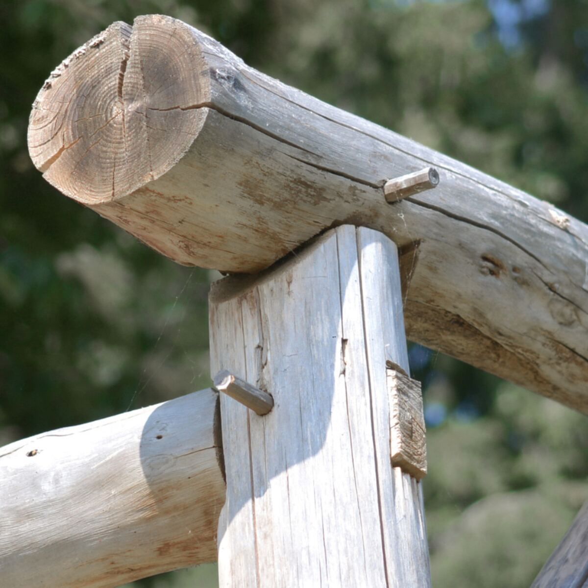 Detail of a finished timber-frame joint, cropped close