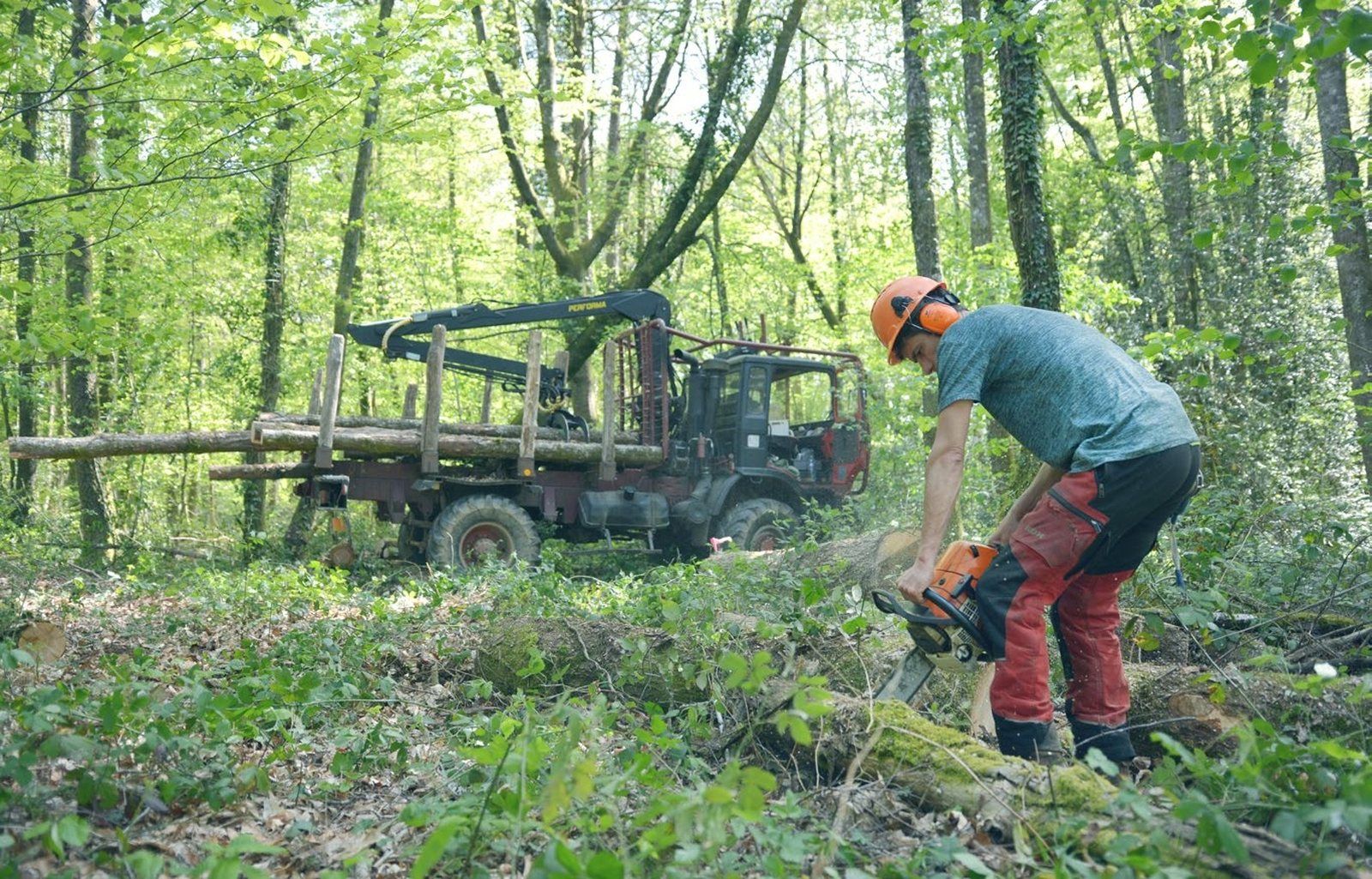 KUKA robotic arm sawing a curved log, close-up
