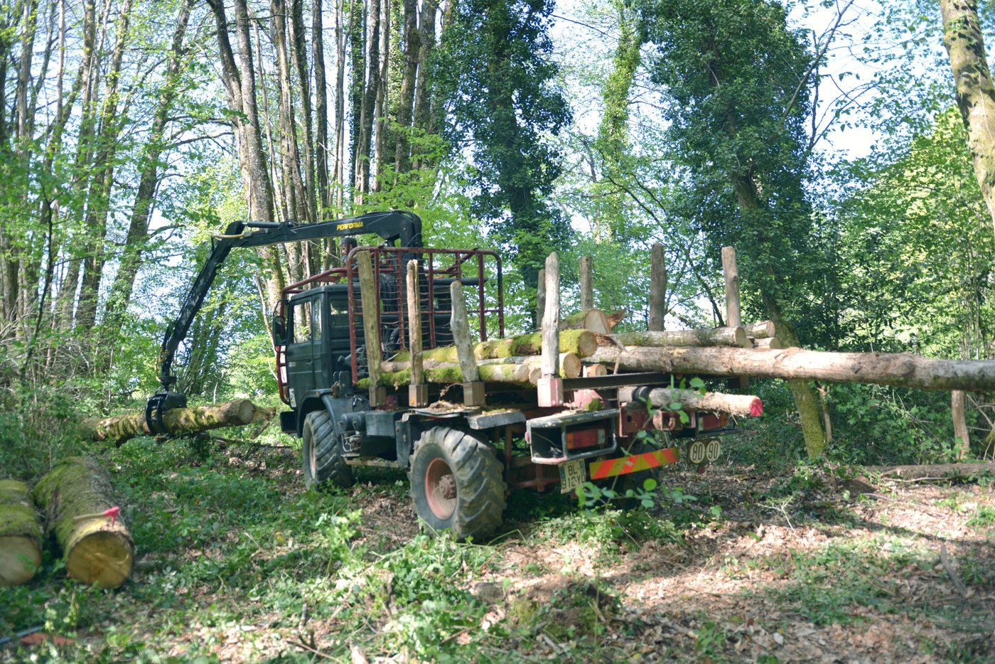 Grue forestière chargeant des grumes en forêt, Limousin