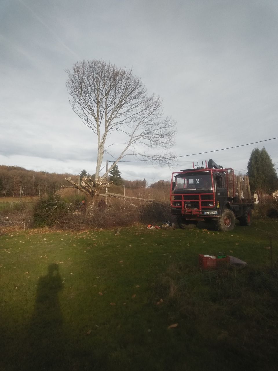 Le châtaignier après élagage, avec le camion forestier, sur le chantier de Rilhac-Treignac